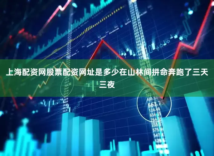 上海配资网股票配资网址是多少在山林间拼命奔跑了三天三夜