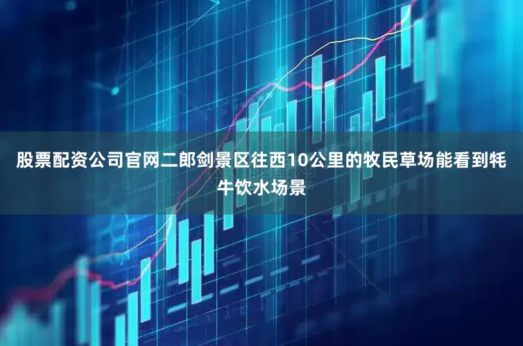 股票配资公司官网二郎剑景区往西10公里的牧民草场能看到牦牛饮水场景