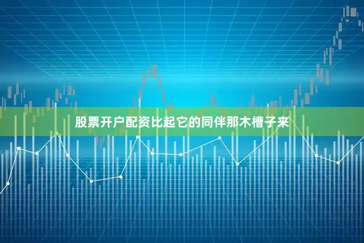 股票开户配资比起它的同伴那木槽子来