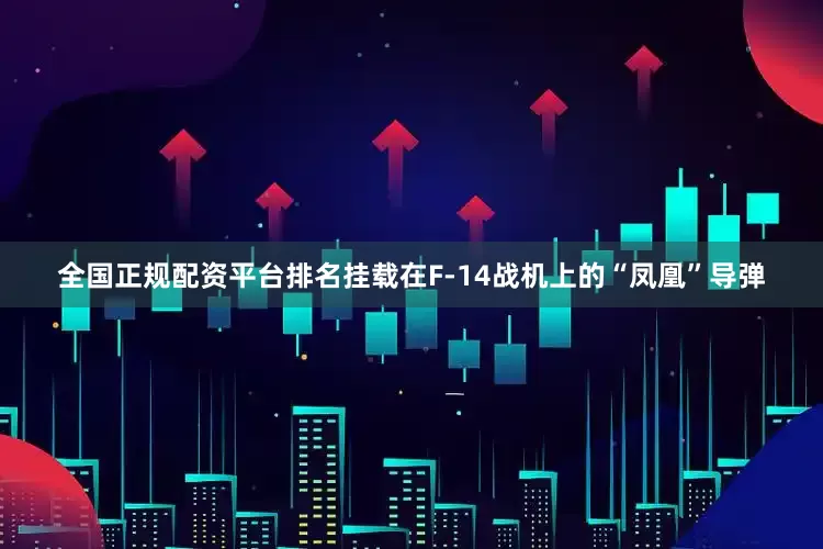 全国正规配资平台排名挂载在F-14战机上的“凤凰”导弹