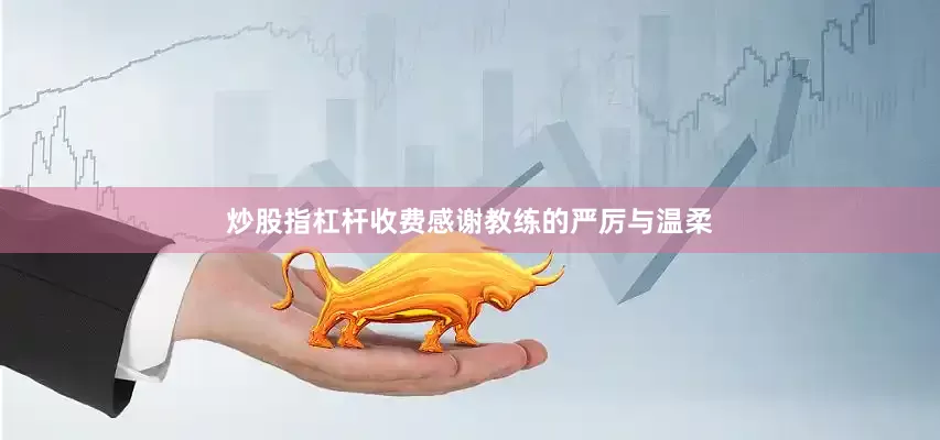 炒股指杠杆收费感谢教练的严厉与温柔