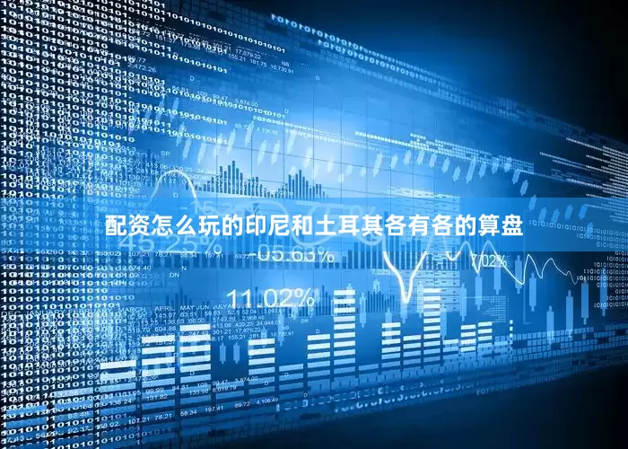 配资怎么玩的印尼和土耳其各有各的算盘