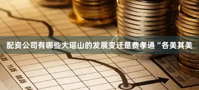 配资公司有哪些大瑶山的发展变迁是费孝通“各美其美
